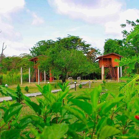 Sigiri Royal Point Tree House Hotel สิกิริยา ภายนอก รูปภาพ