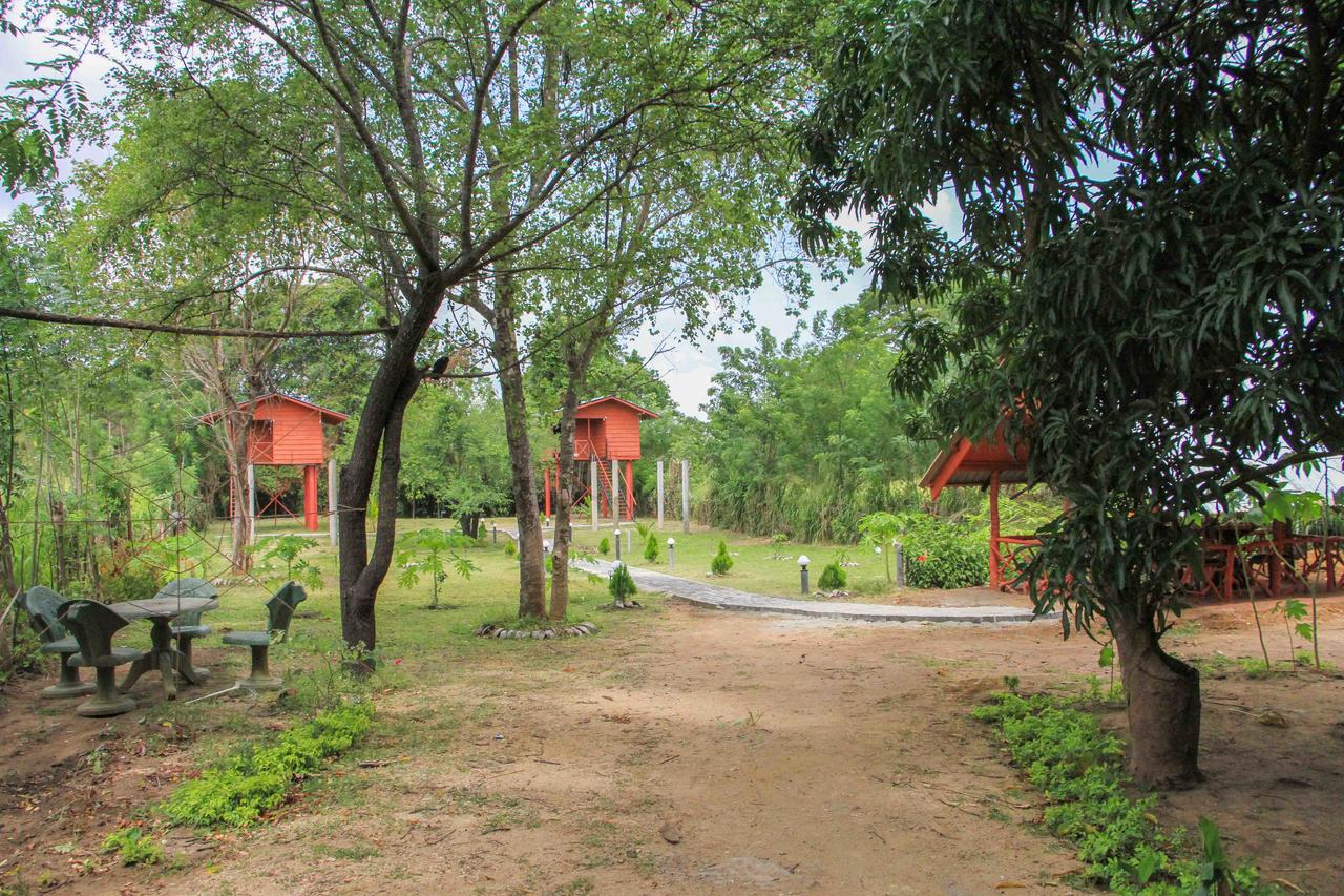 Sigiri Royal Point Tree House Hotel สิกิริยา ภายนอก รูปภาพ