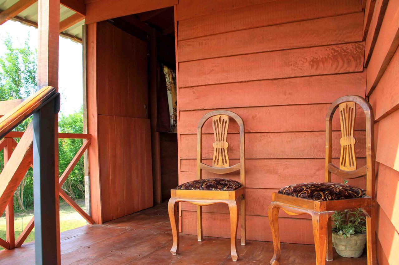 Sigiri Royal Point Tree House Hotel สิกิริยา ภายนอก รูปภาพ