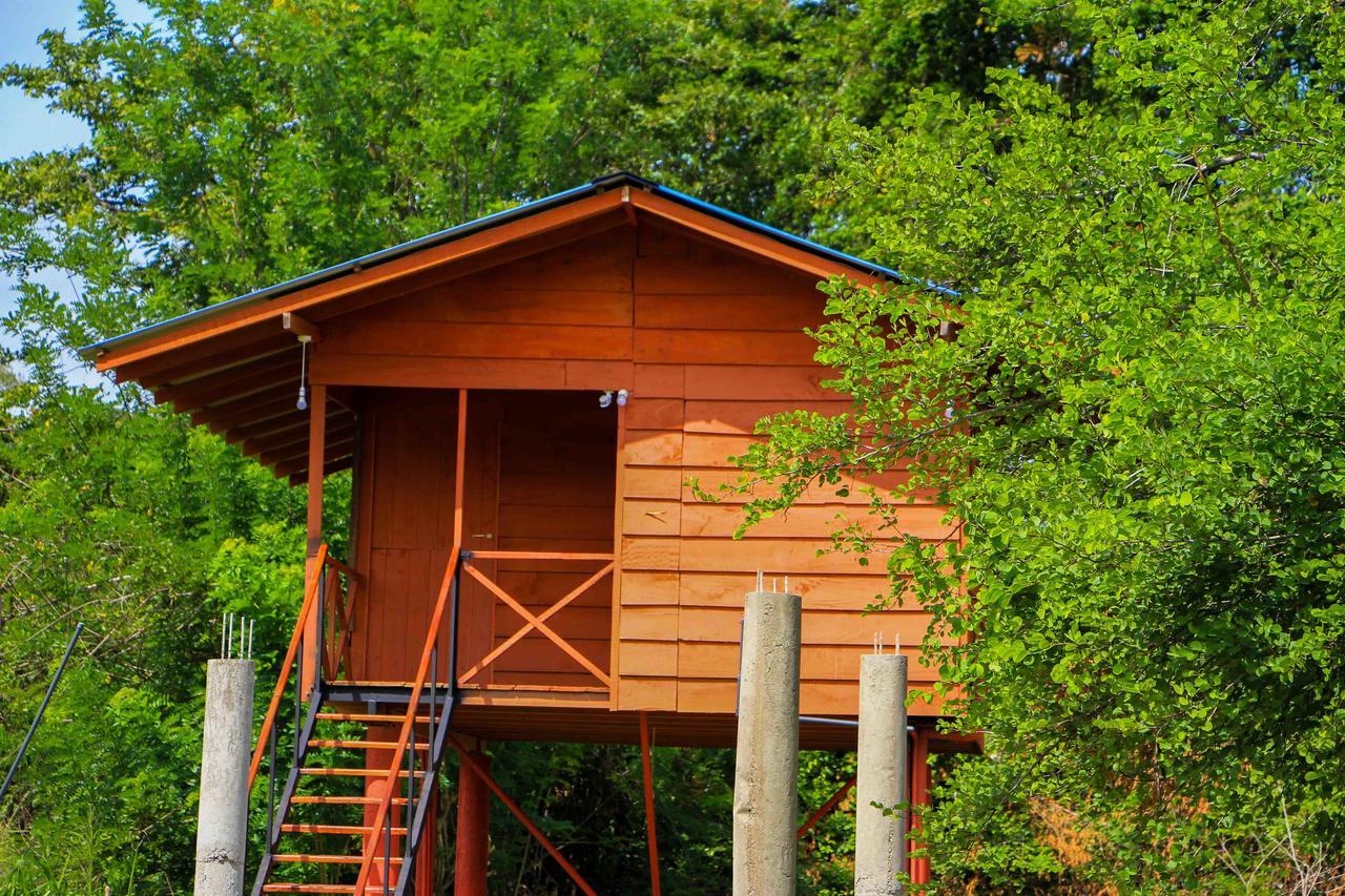 Sigiri Royal Point Tree House Hotel สิกิริยา ภายนอก รูปภาพ