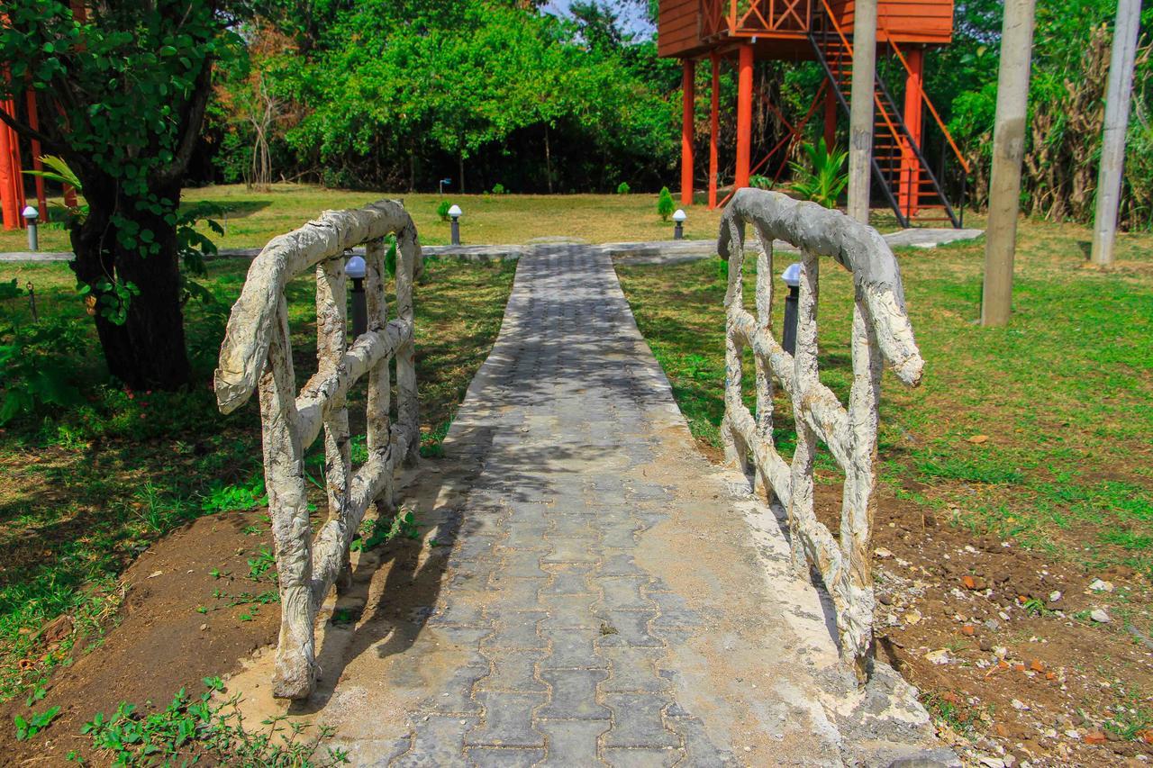 Sigiri Royal Point Tree House Hotel สิกิริยา ภายนอก รูปภาพ