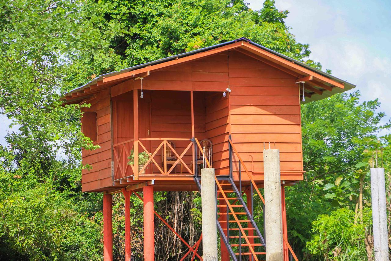 Sigiri Royal Point Tree House Hotel สิกิริยา ภายนอก รูปภาพ