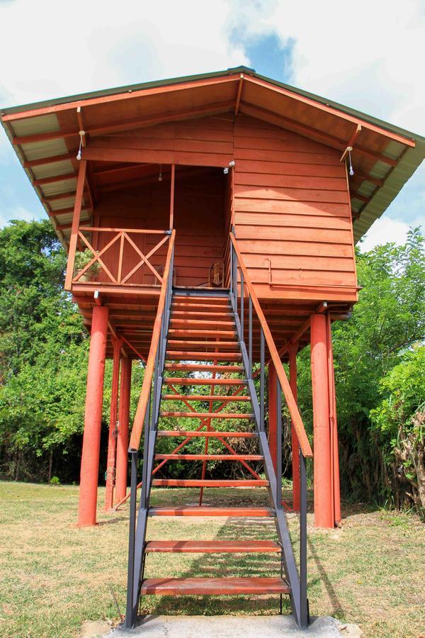 Sigiri Royal Point Tree House Hotel สิกิริยา ภายนอก รูปภาพ