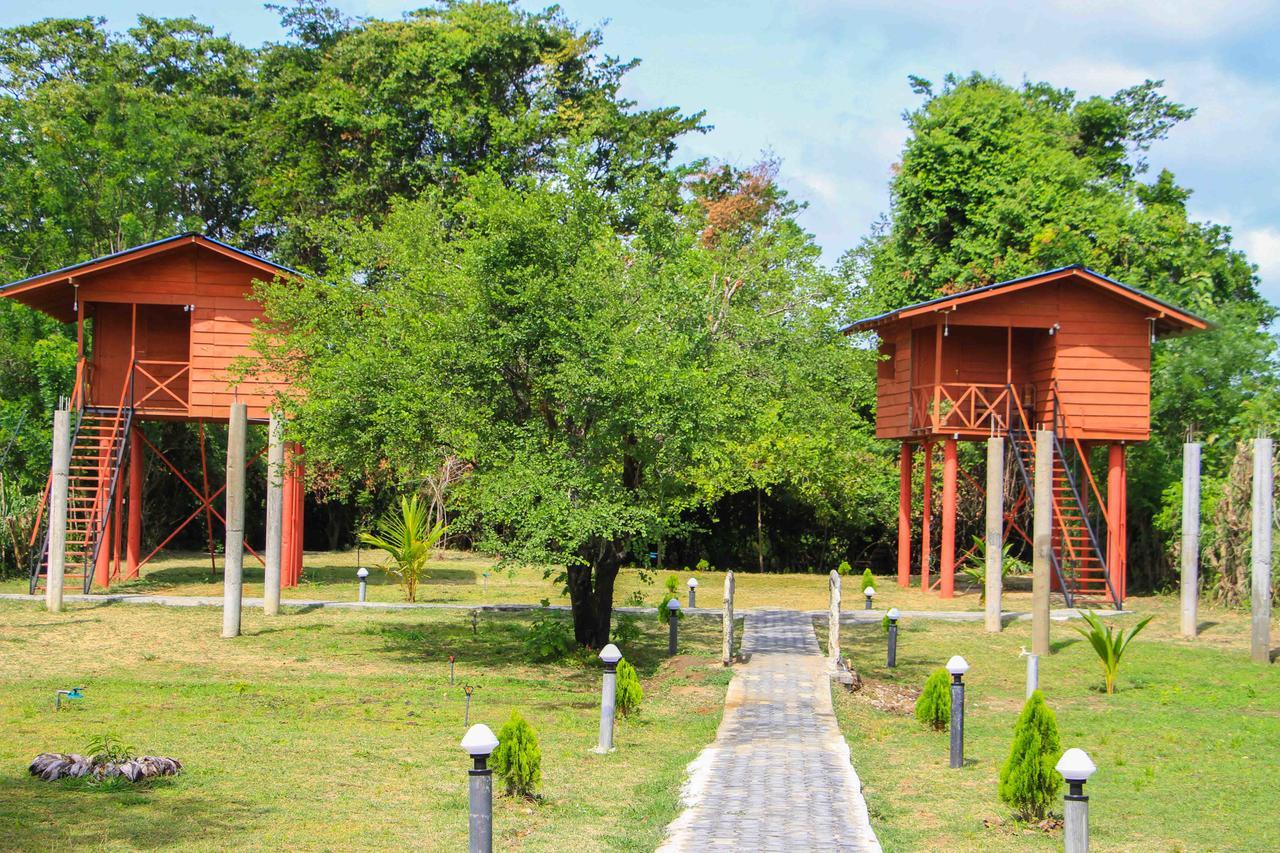 Sigiri Royal Point Tree House Hotel สิกิริยา ภายนอก รูปภาพ