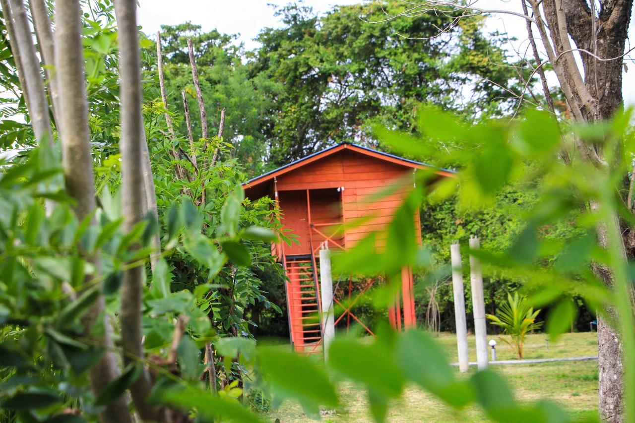 Sigiri Royal Point Tree House Hotel สิกิริยา ภายนอก รูปภาพ