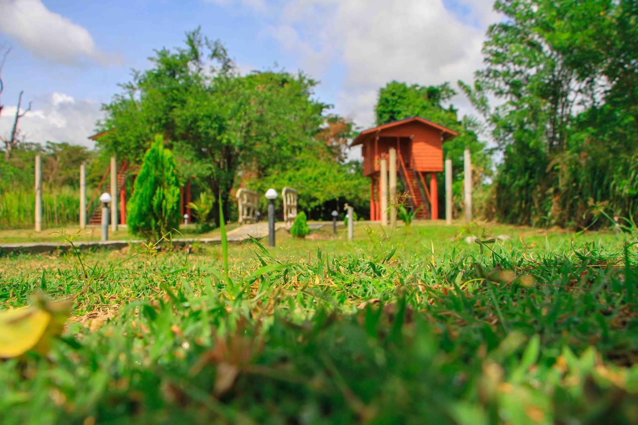 Sigiri Royal Point Tree House Hotel สิกิริยา ภายนอก รูปภาพ