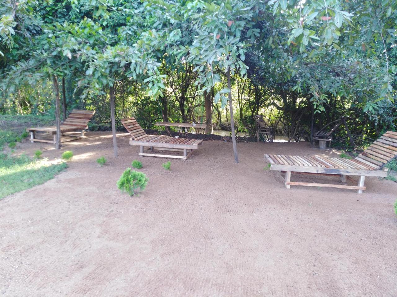Sigiri Royal Point Tree House Hotel สิกิริยา ภายนอก รูปภาพ