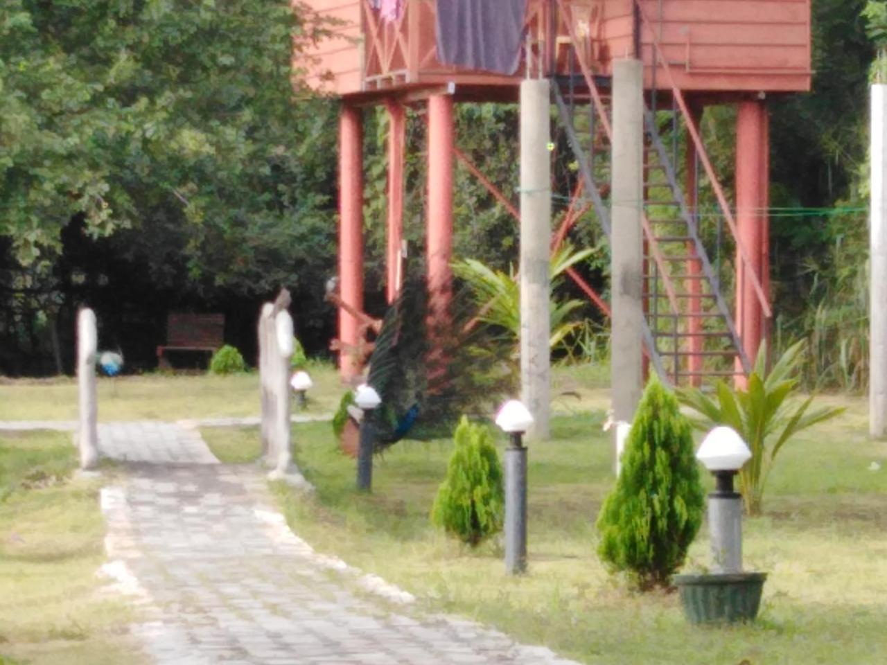 Sigiri Royal Point Tree House Hotel สิกิริยา ภายนอก รูปภาพ