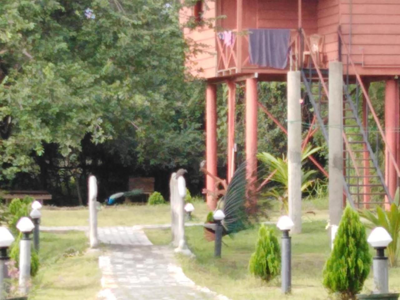 Sigiri Royal Point Tree House Hotel สิกิริยา ภายนอก รูปภาพ